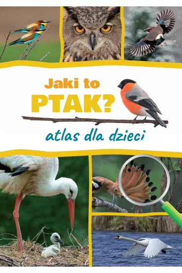 Jaki to ptak? Atlas dla dzieci - Dominik Marchowski
