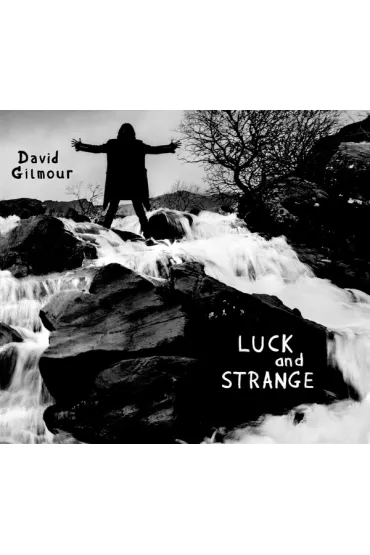 Luck and Strange CD - David Gilmour