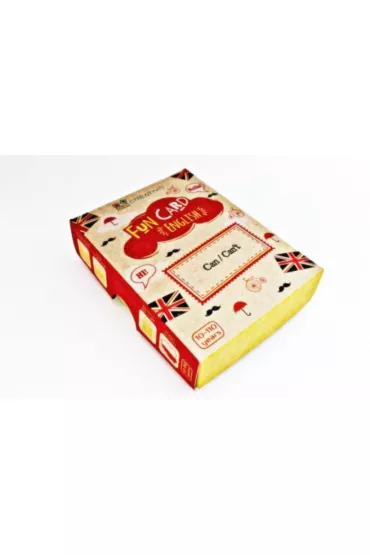 Fun Card English Can/Can't - Pawe� Dwornik