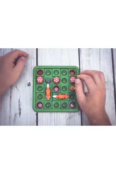 Smart Games. Jump In' (ENG) IUVI Games