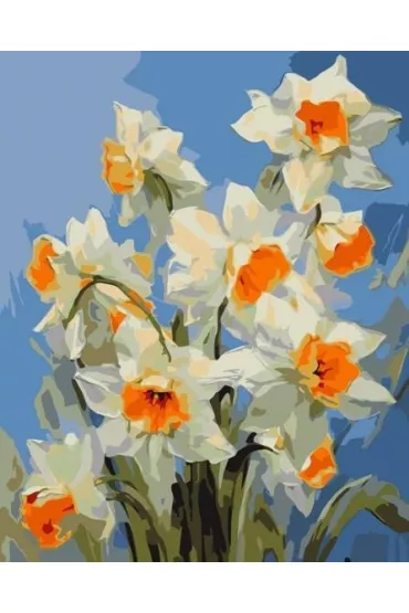 Qbee Malowanie po numerach - Wiosenne onkile 40x50cm