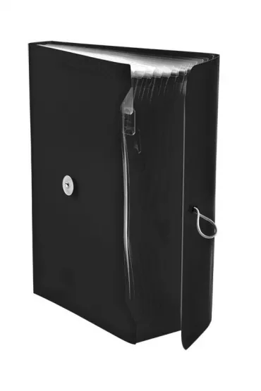 Tetis Teczka harmonijkowa A4 PP gumka 13 przegr�d czarna