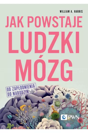 Jak powstaje ludzki m�zg. Od zap�odnienia do narodzin - William A. Harris