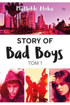 Story of Bad Boys. Tom 1