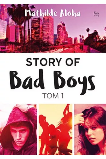 Story of Bad Boys. Tom 1 - Mathilde Aloha