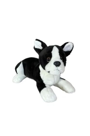 Pies boston terrier 28cm Dubi