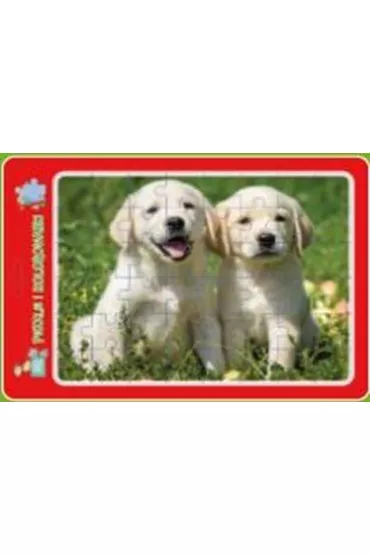 Puzzle w ramce z kolorowank�. Szczeniaczki MD Creative