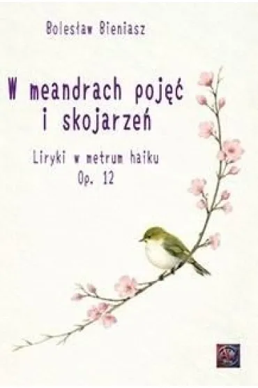 W meandrach poj�� i skojarze� - Boles�aw  Bieniasz