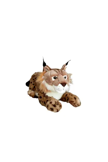 Ry� 50cm Dubi