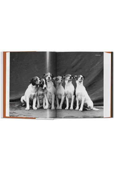 The Dog in Photography 1839-Today wer. angielska - Raymond Merritt