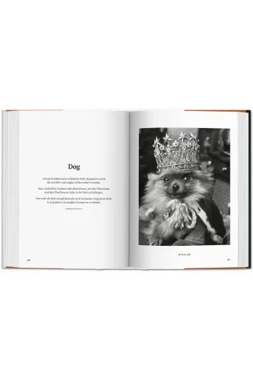 The Dog in Photography 1839-Today wer. angielska - Raymond Merritt