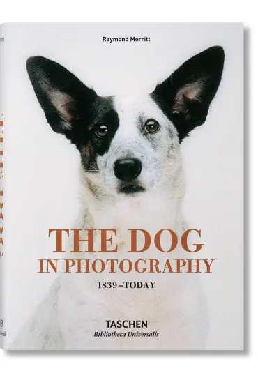 The Dog in Photography 1839-Today wer. angielska - Raymond Merritt