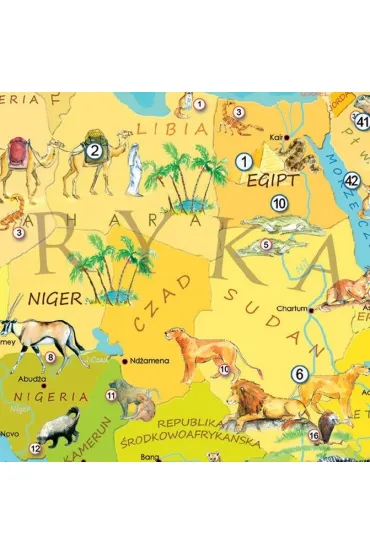 Puzzle 200 el. Mapa M�odego Odkrywcy - Zwierz�ta �wiata ArtGlob