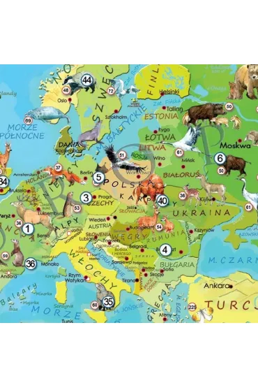 Puzzle 200 el. Mapa M�odego Odkrywcy - Zwierz�ta �wiata ArtGlob