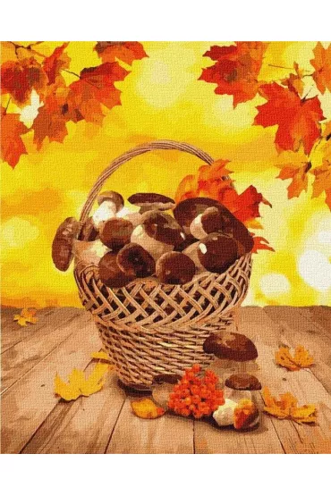 Ideyka Malowanie po numerach - Le�ne dary 40x50cm