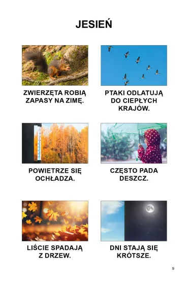 My i �wiat wok� nas. Podr�cznik dla uczni�w z niepe�nosprawno�ci� intelektualn� - Agnieszka Borowska-Kociemba, Ma�gorzata Krukowska