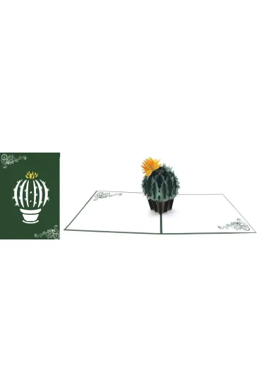 DaVinci Karnet + koperta POP-UP Kaktus 12x18cm