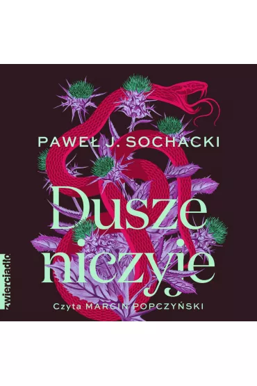 Audiobook Dusze niczyje mp3 - Pawe J. Sochacki