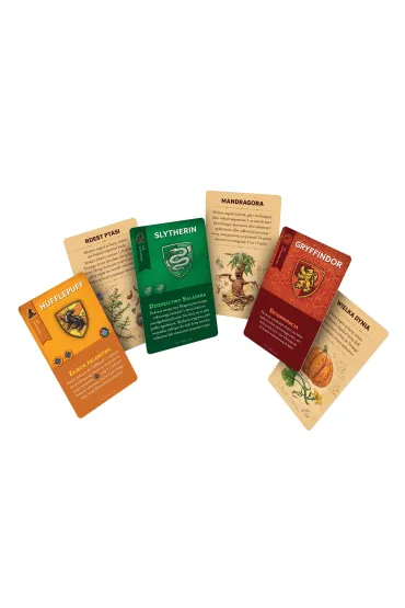 Tajniacy: Powr�t do Hogwartu REBEL