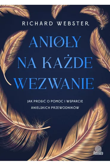 eBook Anio�y na ka�de wezwanie. Jak prosi� o pomoc i wsparcie anielskich przewodnik�w mobi epub - Richard Webster