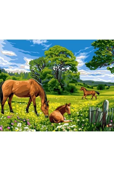 Koh-I-Noor Malowanie po numerach - Konie na ��ce 40x50cm