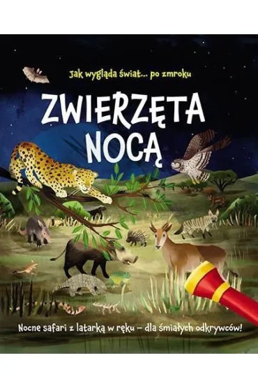 Zwierz�ta noc�. Nocne safari z latark� w r�ku dla �mia�ych odkrywc�w - Lisa Regan