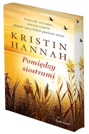 Pomi�dzy siostrami. Edycja kolekcjonerska (barwione brzegi) - Kristin Hannah