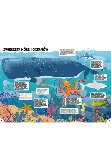 Pierwsza encyklopedia dla maych geniuszy
