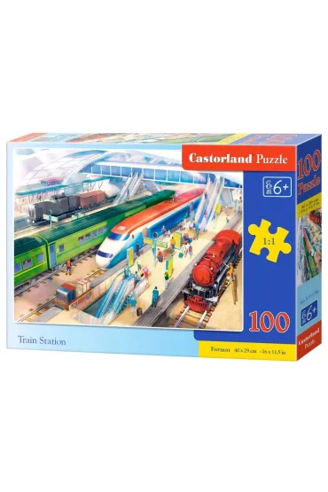 Puzzle 100 el. Train Station Castorland