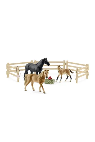 Ko� Tennessee walker na pastwisku