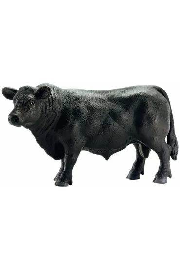 Angus czarny byk