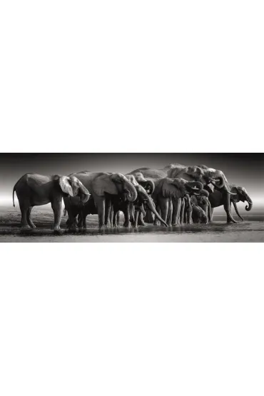 Puzzle 1000 el. Panorama HQ - Herd of Giants Clementoni