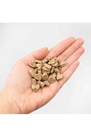 Tenetrio Ciasteczka z owadami, twarogiem i marchewk� 200 g