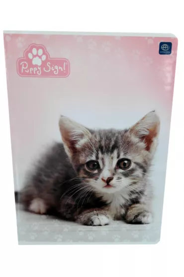Interdruk Zeszyt A5 Purry linia 32 kartki