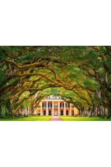Puzzle 1000 el. Plantacja oak alley Castorland