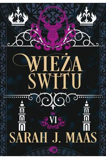 Wie�a �witu. Szklany Tron. Tom 6 - Sarah J. Maas
