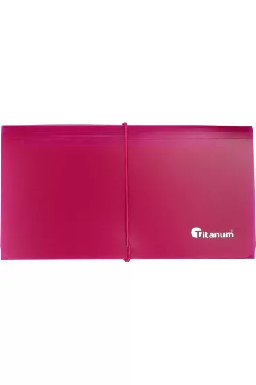 Titanum Teczka segreguj�ca DL 13 przegr�dek