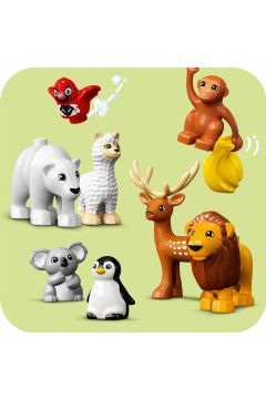LEGO DUPLO Dzikie zwierzęta świata 10975