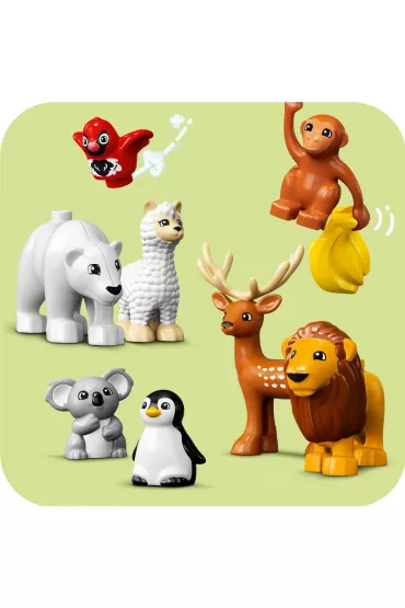 LEGO DUPLO Dzikie zwierz�ta �wiata 10975
