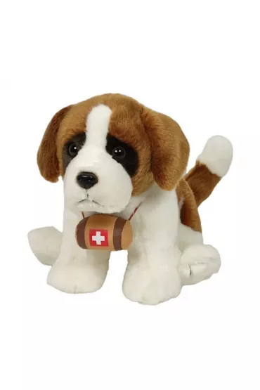 Bernardyn z butl� Dubi Plusz