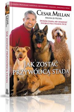 Jak zosta przywdc stada