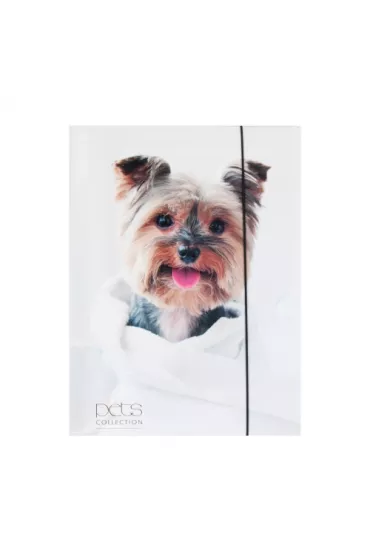 Pan Dragon Teczka A4 z gumk� Pets-12