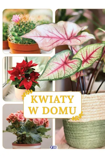 Kwiaty w domu