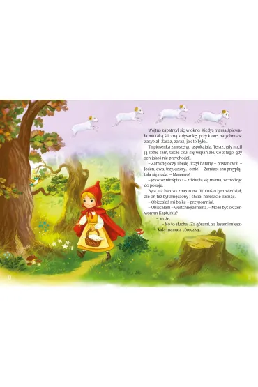 O Wojtusiu, kt�ry zgubi� sw�j sen + CD - Ewa Stadtmuller, Kazimierz Wasilewski