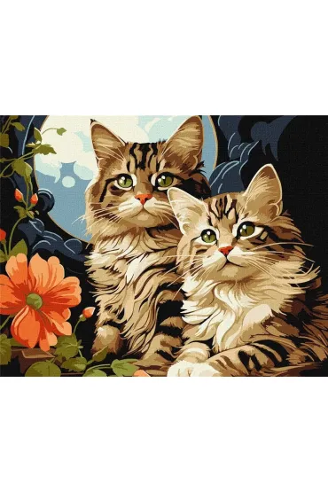 Ideyka Malowanie po numerach - Magiczne koci�ta 40x50cm