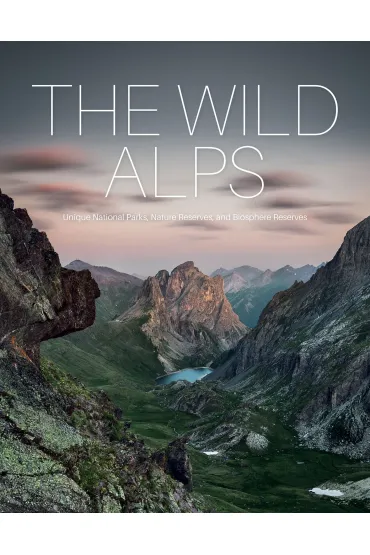 The Wild Alps - Katinka Holupirek, Gotlind Blechschmidt, Martin  Rasper