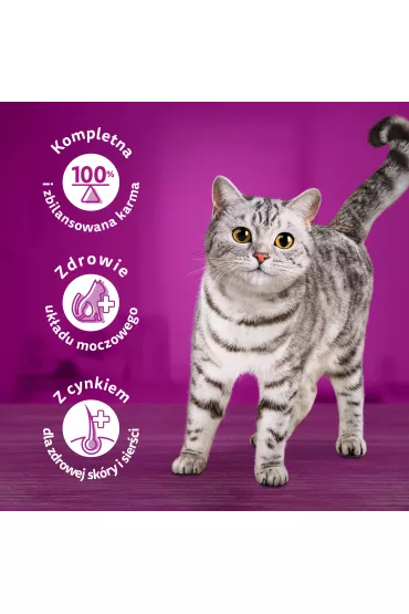Whiskas Mokra karma dla kota mix smak�w w sosie saszetki 4x85 g