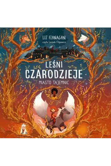 Audiobook Leni czarodzieje. Miasto tajemnic. Tom 2 mp3 - Liz Flanagan