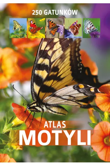 Atlas motyli - Jacek Twardowski, Kamila Twardowska