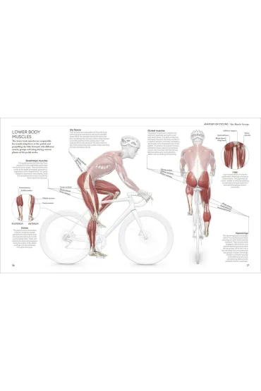 Science of Cycling - Bailey David